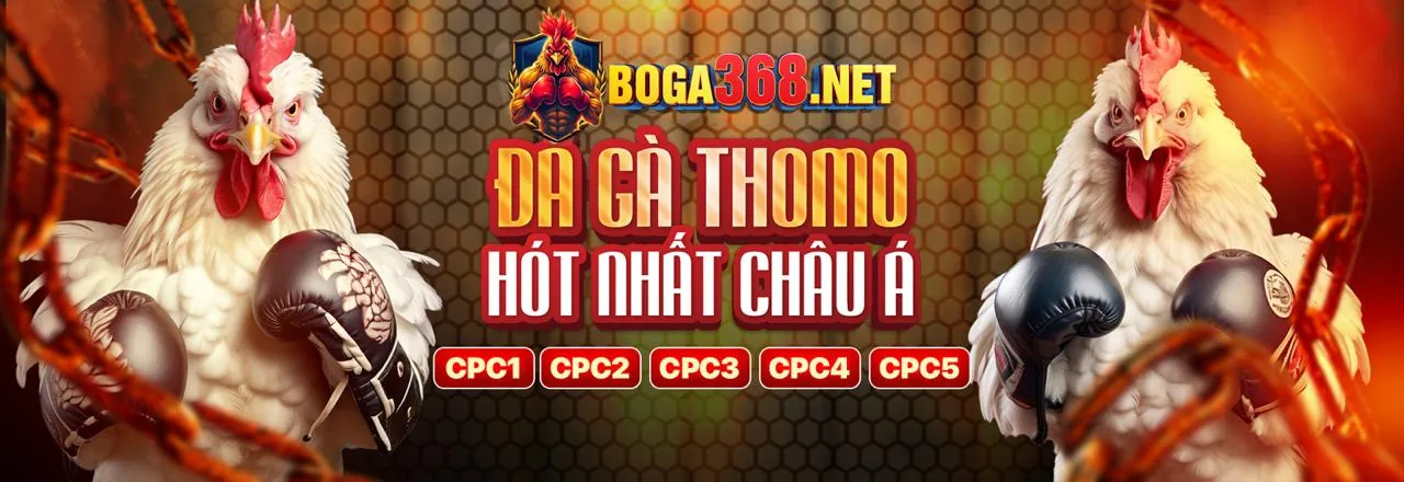 Minh họa phần câu hỏi thường gặp